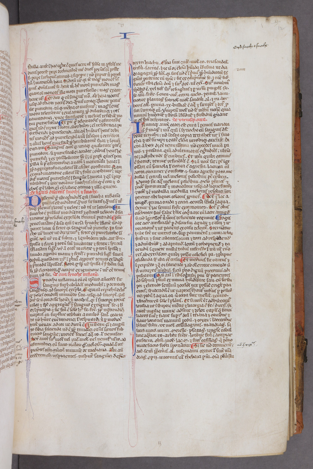 Folio 12 recto